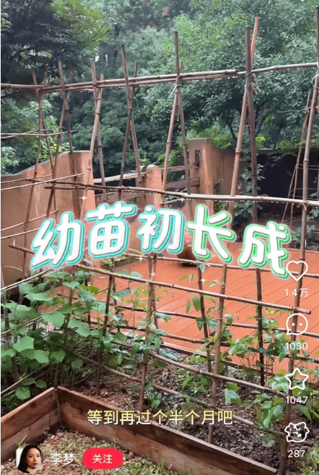 皇冠信用盘登3代理_知名女演员官宣：皇冠信用盘登3代理我搬到杭州了