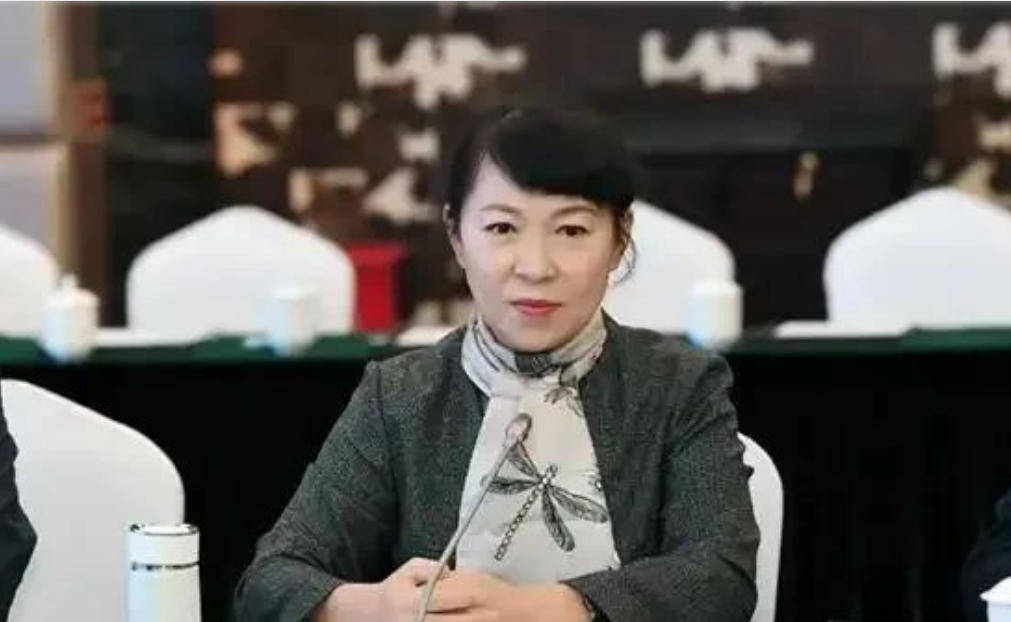 AC米兰vs克雷莫内塞
_“换装主席”王莉霞的堕落：从光鲜人设到腐败深渊