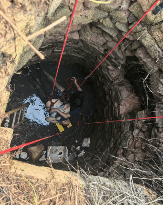 怎么申请皇冠信用網_多条蛇缠身怎么申请皇冠信用網,女子被咬了也不敢动!深井内苦撑54小时后……