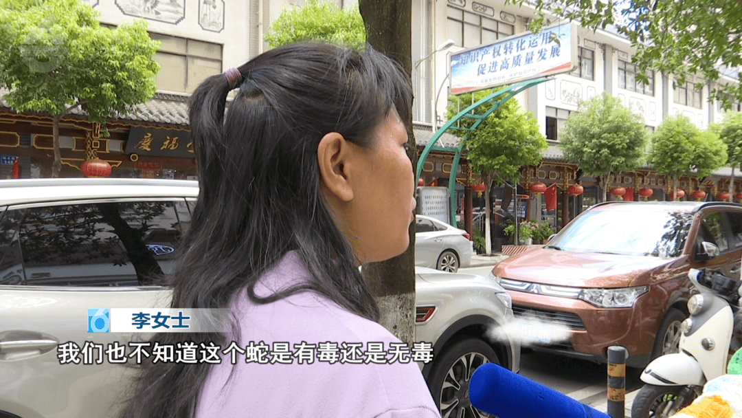 皇冠信用网结算日是哪天
_太吓人！云南女子网购塑料凳皇冠信用网结算日是哪天
，拆开竟发现一条蛇被胶带粘在椅子上！还在动