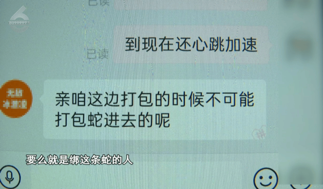 皇冠信用网结算日是哪天
_太吓人！云南女子网购塑料凳皇冠信用网结算日是哪天
，拆开竟发现一条蛇被胶带粘在椅子上！还在动
