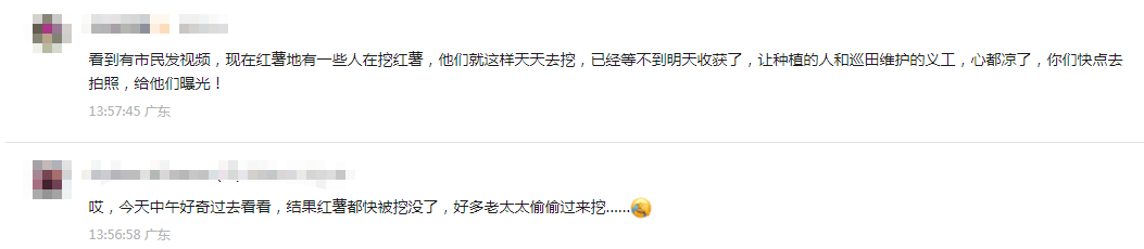 皇冠信用網结算日
_深圳市中心竟有一大片“红薯地”皇冠信用網结算日
！官方紧急提醒：请勿私挖