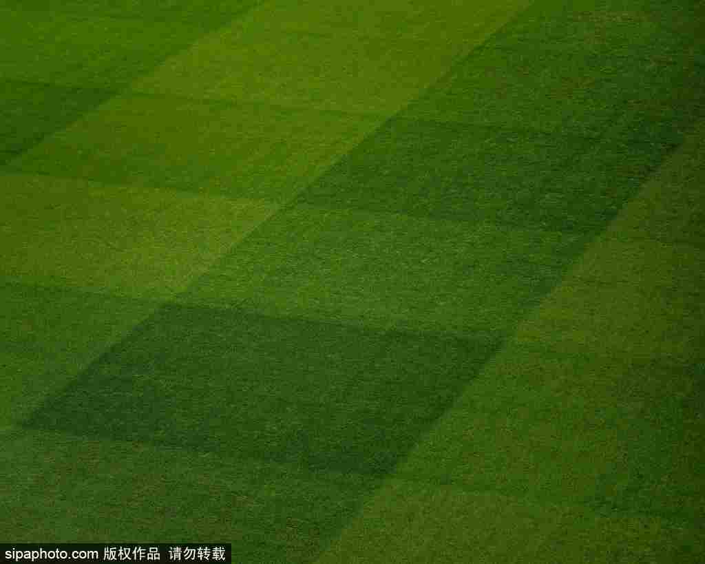 南非足球世界杯
_足协杯决赛票务争夺战：河南球迷购票超两万南非足球世界杯
，北京球迷面临一票难求